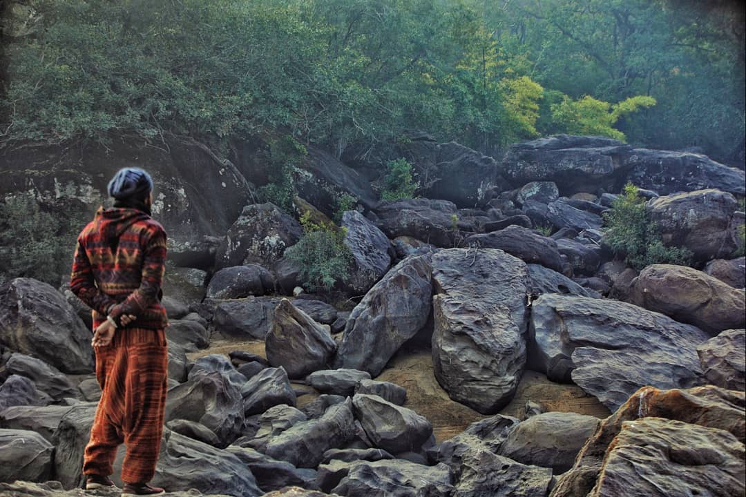Listening to the Sound of the jungle. Loud yet so quite.