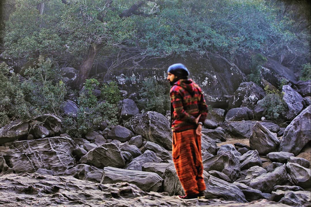 Listening to the Sound of the jungle. Loud yet so quite.