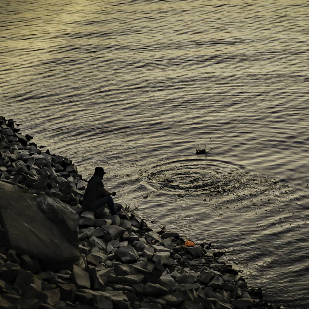 The Ripple Effect.