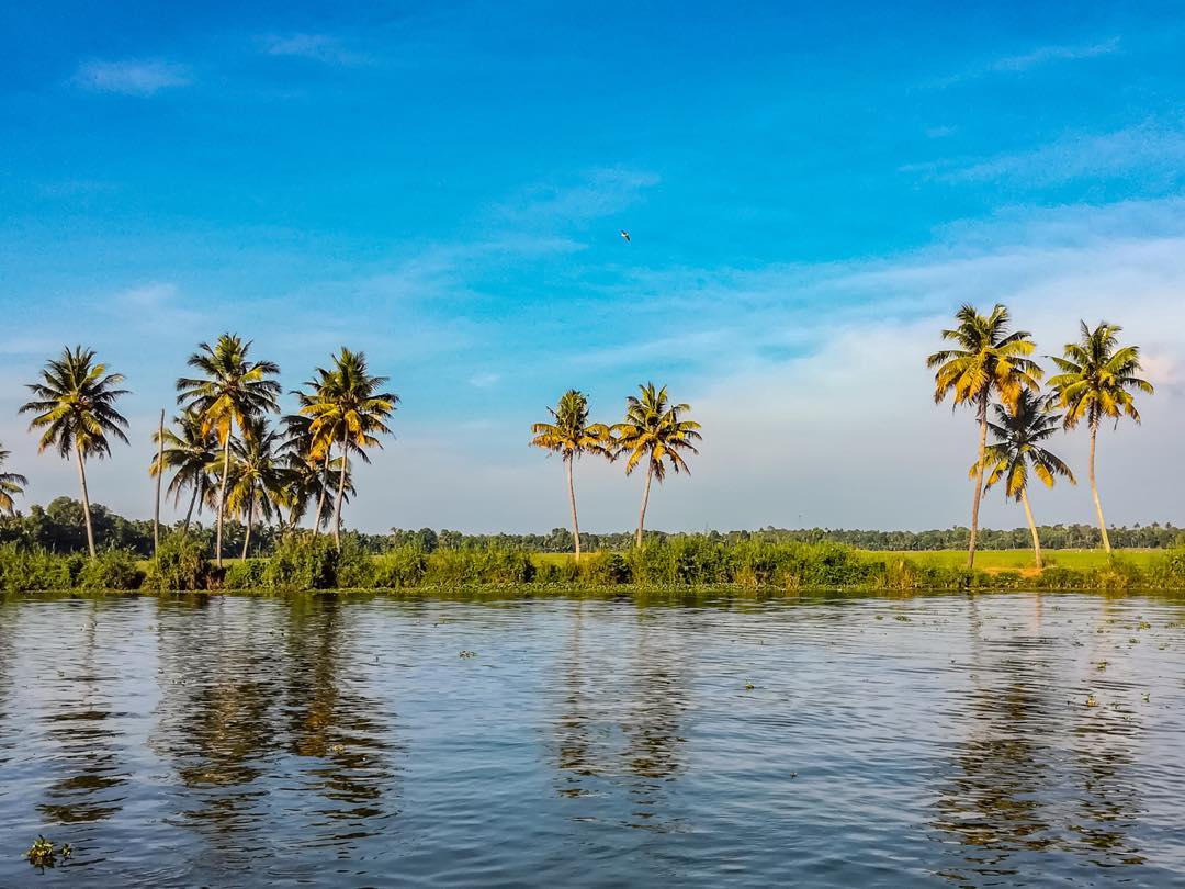 Oh Kerala! ❤️ .