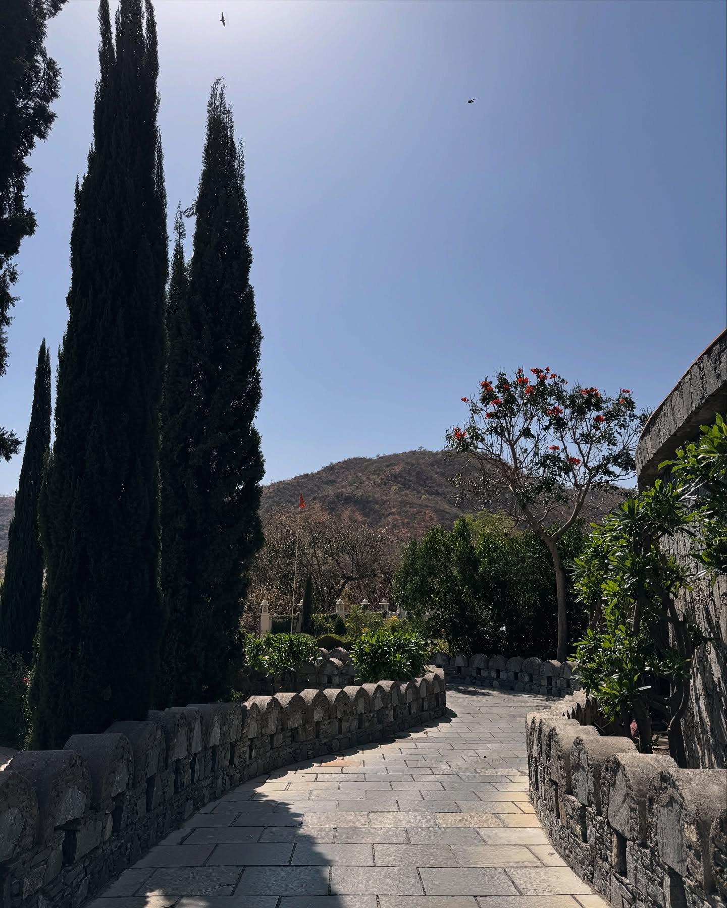 Just me, the views, and a whole lotta royal vibes at Kumbhalgarh Raajsa.